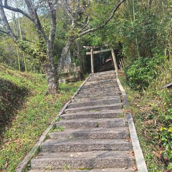 太郎丸山に向かう

えっ～！階段