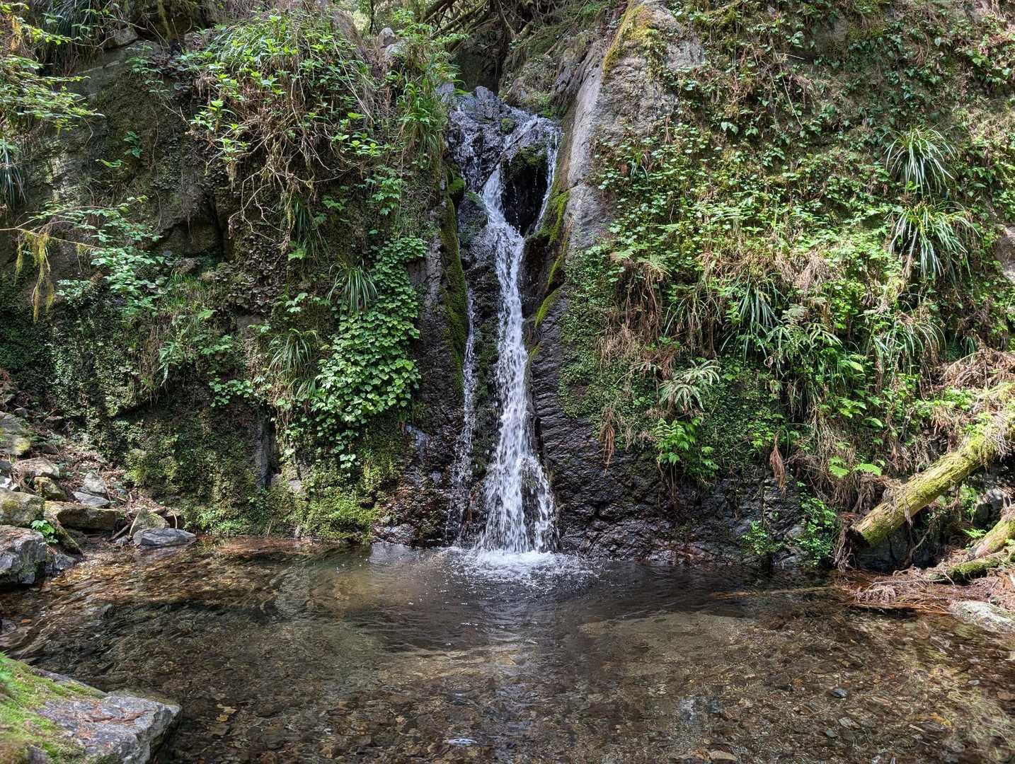 休憩東屋下の竜ヶ滝😀