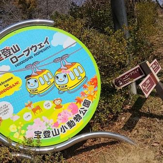 ロープウェイに乗ります。
動画も撮りましたので🎥✨
ぜひご覧ください😊

いつもここのロープウェイに
乗る時は
モンキー号が多かったけど。
今日は珍しく上りも下りも
バンビ号でした🦌✨
