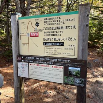 自己責任で！