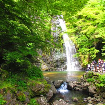 箕面大滝