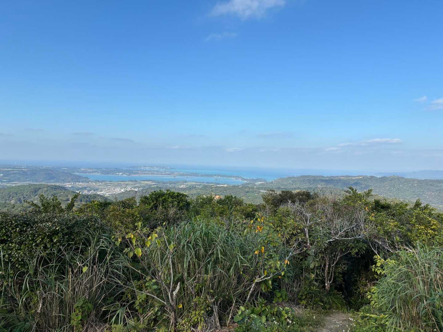 南国の森と町の絶景を楽しむ！名護岳周回コースの写真