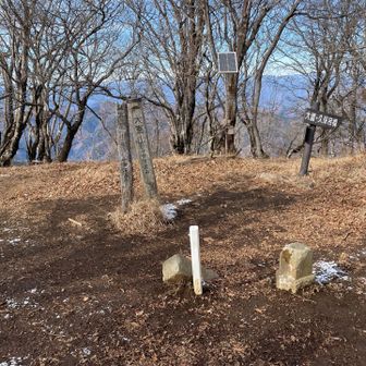 大室山山頂到着しました❗️
木々の隙間から眺望ありますが、檜洞丸が素晴らしすぎるので、比較してはいけません。

この後、山頂の西の分岐、肩の所にあるベンチでお昼食べました。
