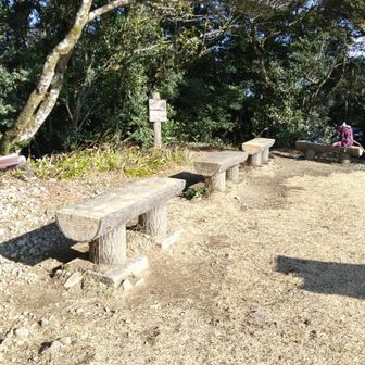 岩屋山のベンチ。