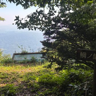 お誕生日おめで鯛ノ巣山⛰️頂上