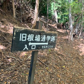 通学路にするにはガッツリ山道でした