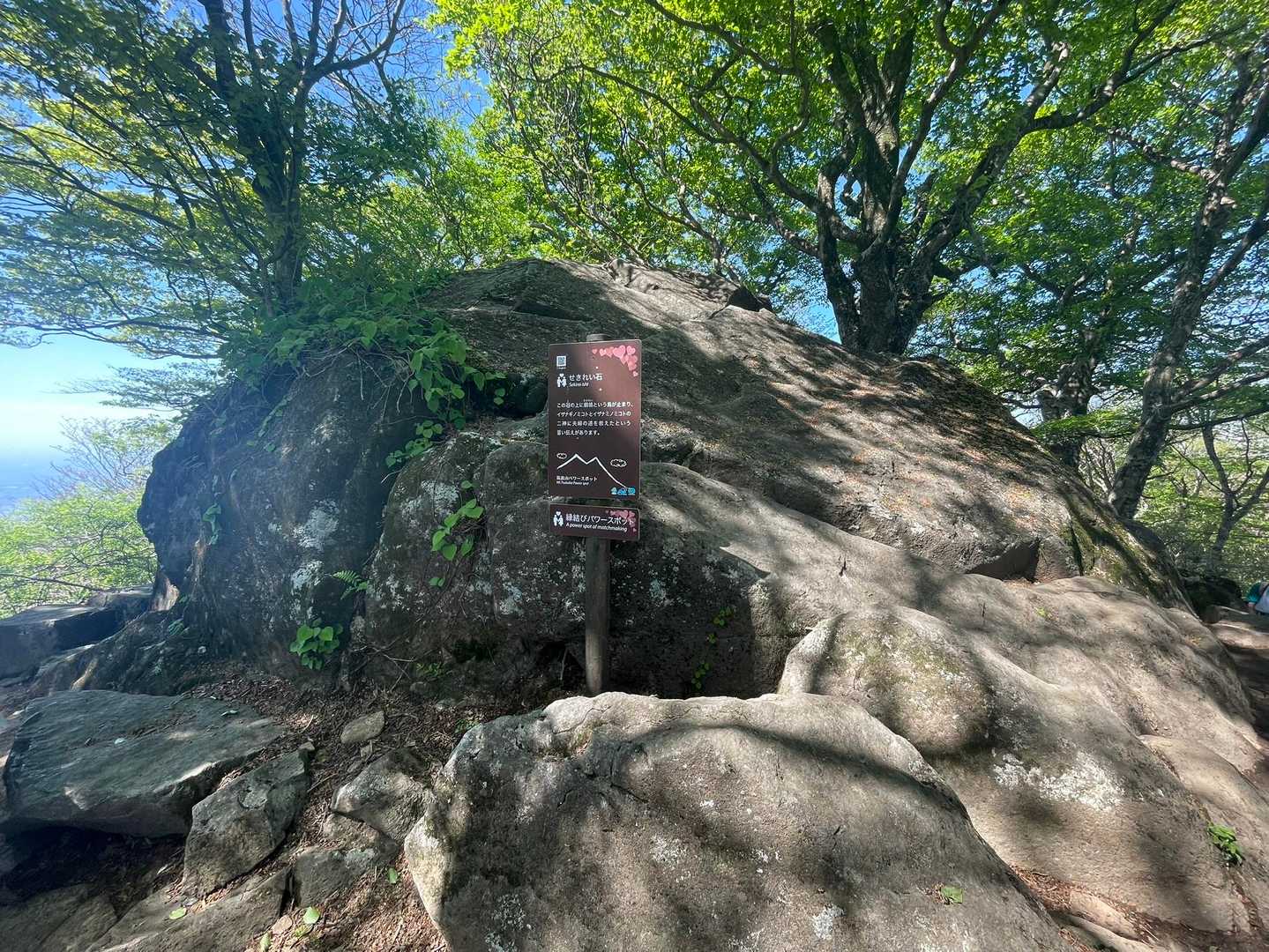 せきれい石🪨