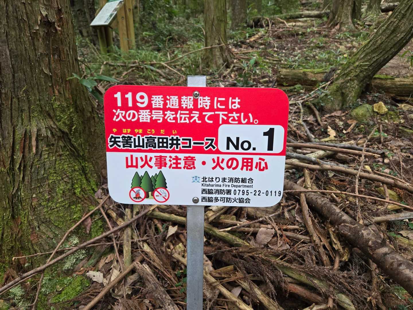 拡大して