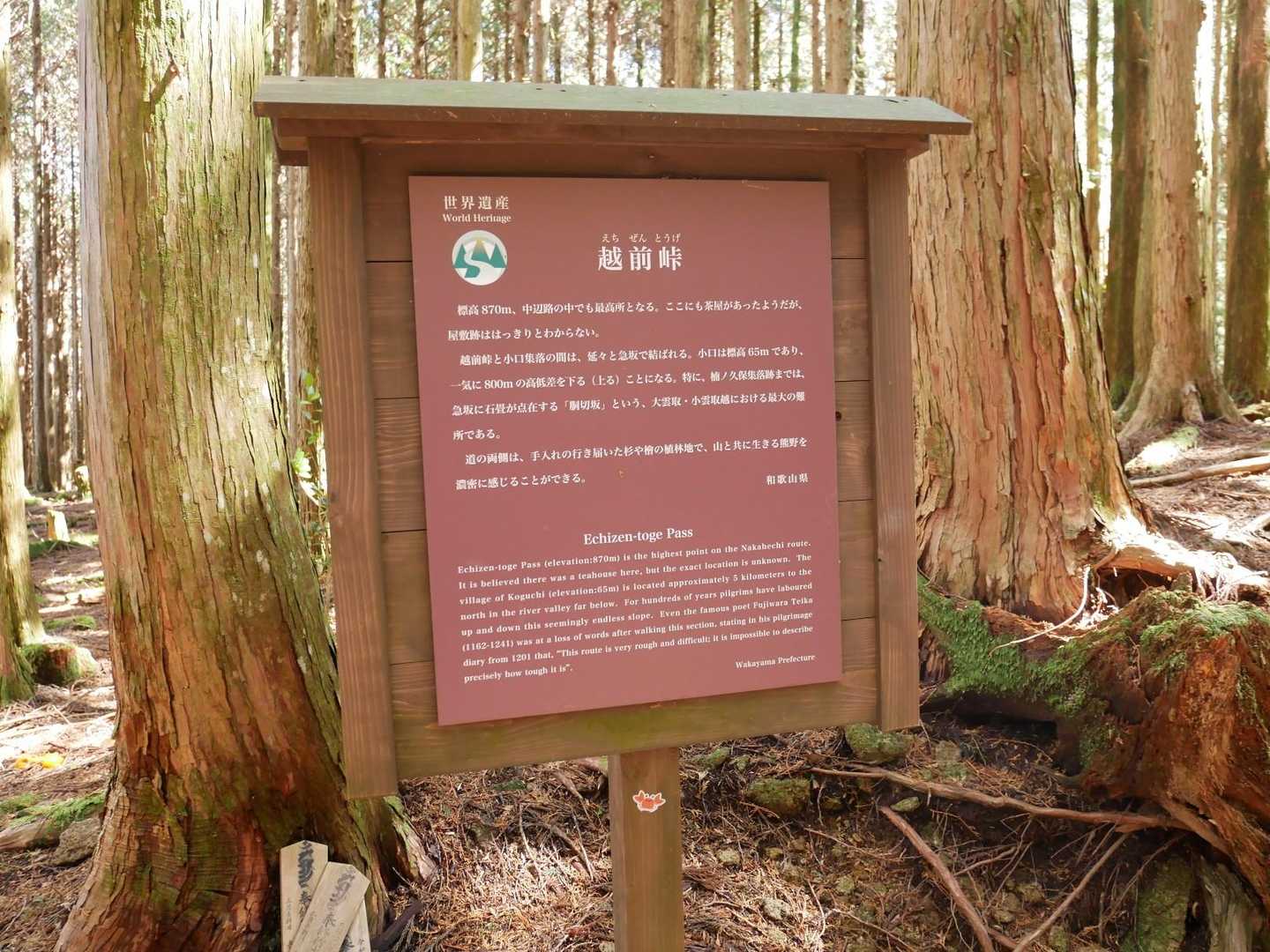 越前峠のてっぺんに来ました