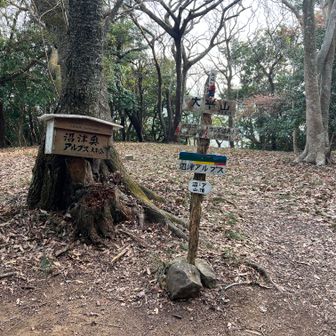ここが最後のピーク、大平山