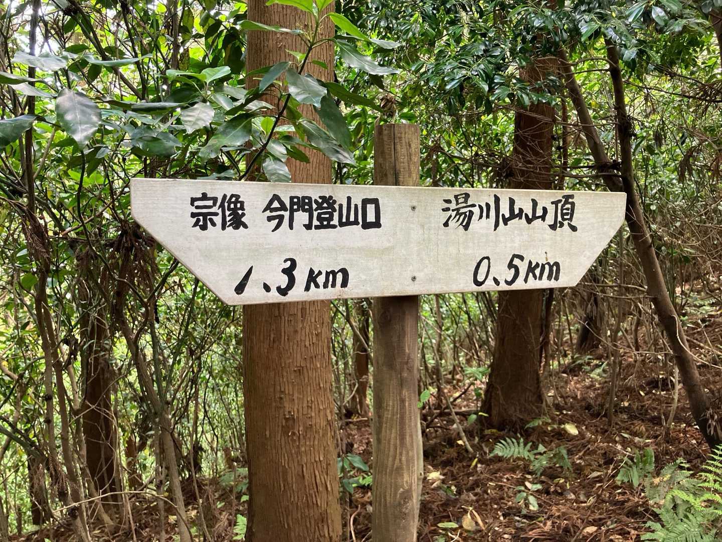 こっち👉