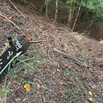 さて、下山