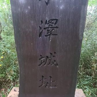ふたつめのピーク｢小澤城址｣。
小澤峰です

いやー💦立ち止まると
蚊がすごいっ