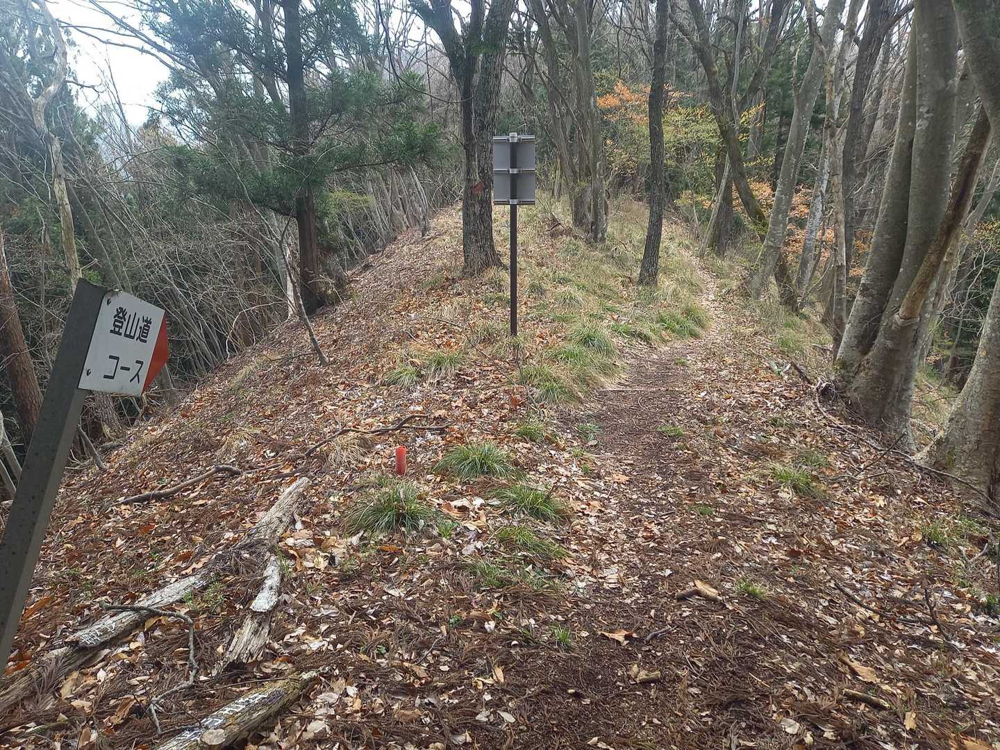 登山道コース