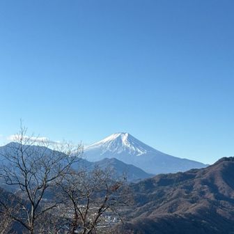 絵になる。どっから観ても絵になる