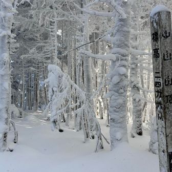 中山山頂は眺望ゼロ