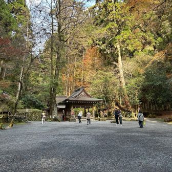 入口をくぐったところ。この広々とした境内がとてもよかったです。