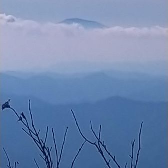 霧島山系の韓国岳が頭だけを出しています🐵