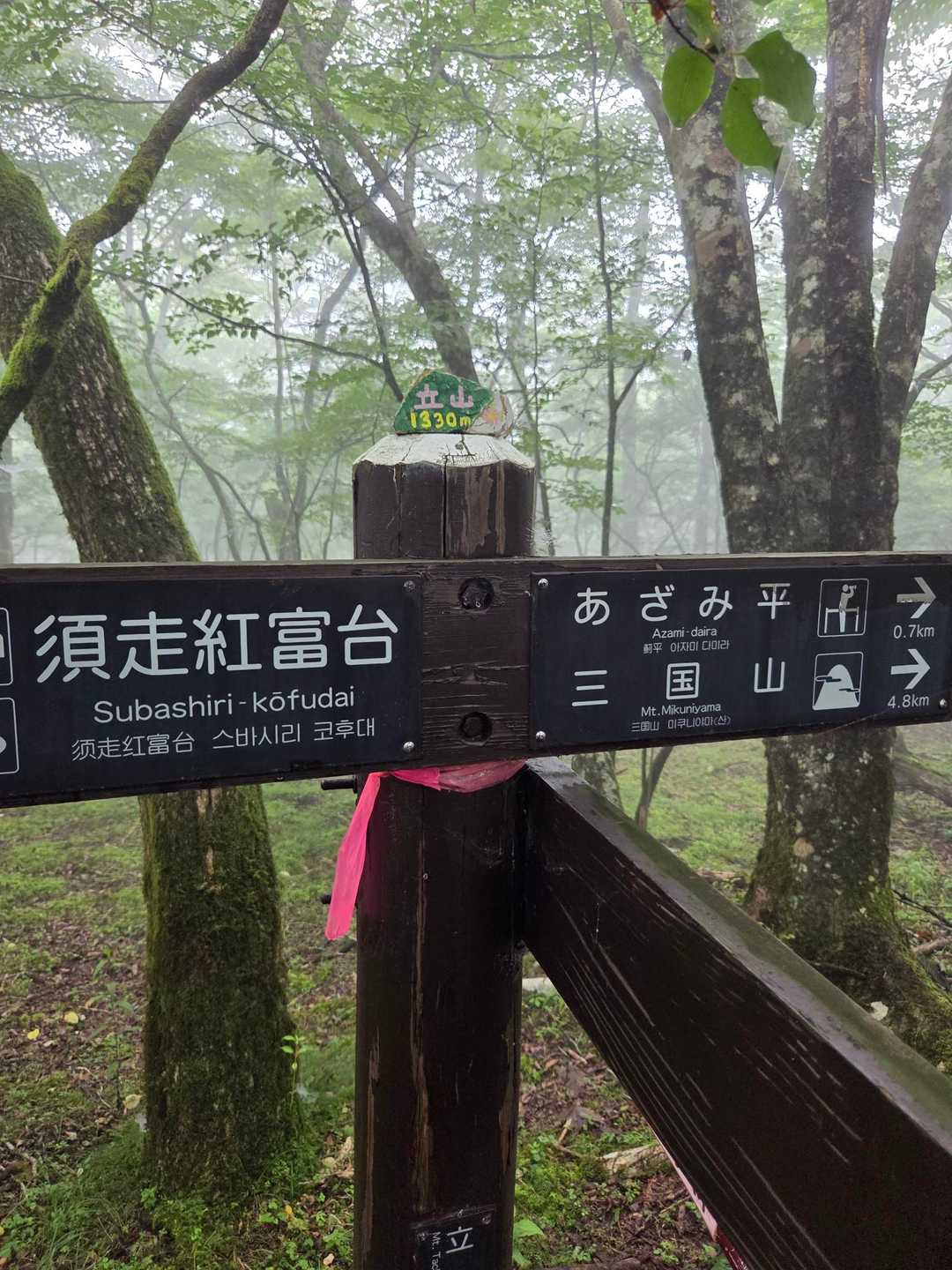 畑尾山に向かい周回して下山します