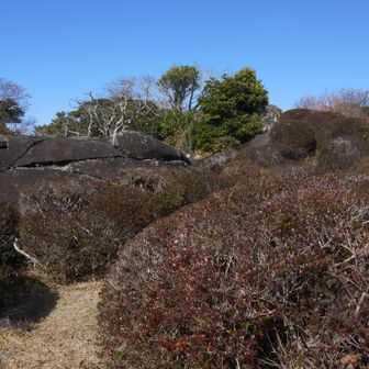 この岩たちがそうみたいですね。