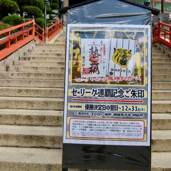 タイガースの記念御朱印がいただけるそうですよ