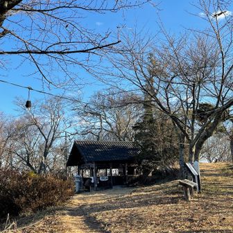 光城山到着です