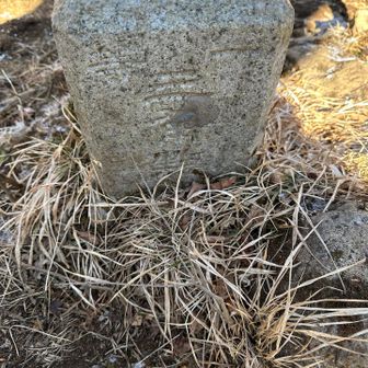 一等三角点「神山」です。ちなみに箱根最高峰になります。