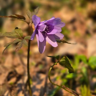 最後にもう一度