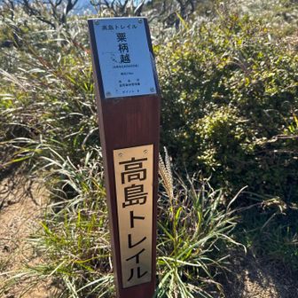 栗柄越