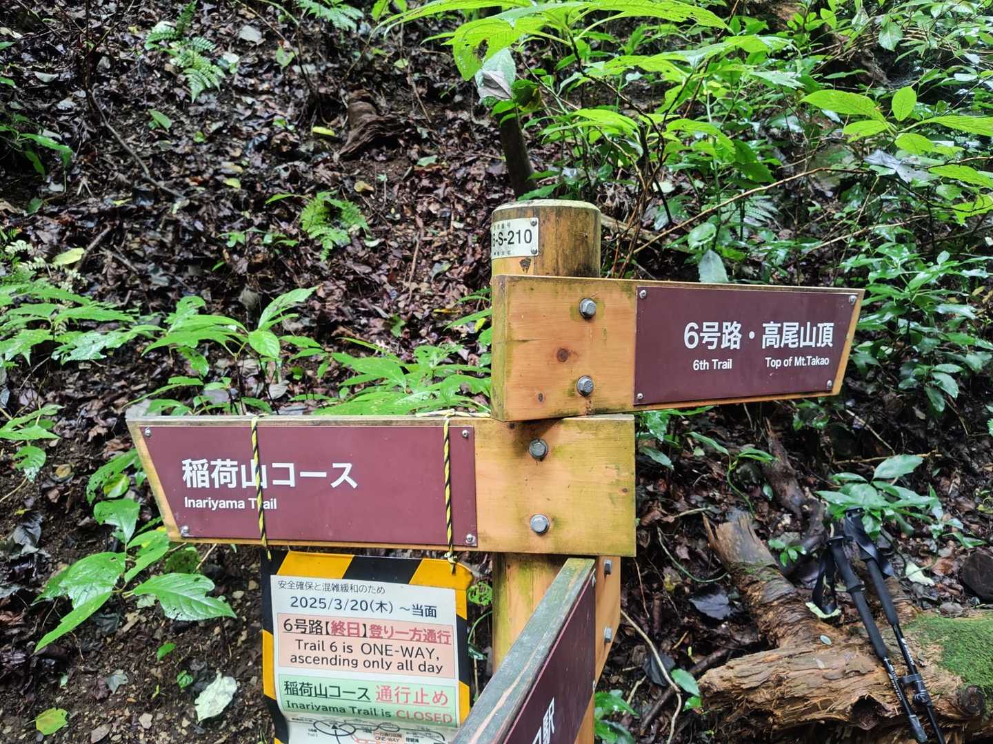 一方通行のおかげ、スムーズに登れます