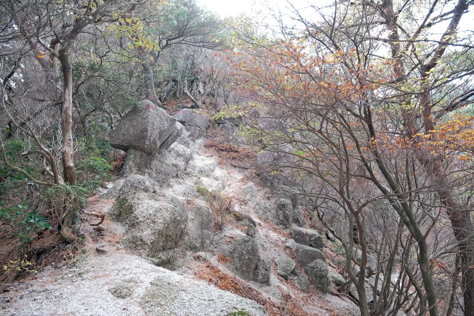 北山-釈迦ヶ岳 往復コースの写真