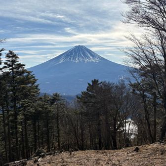 金山からの富士山