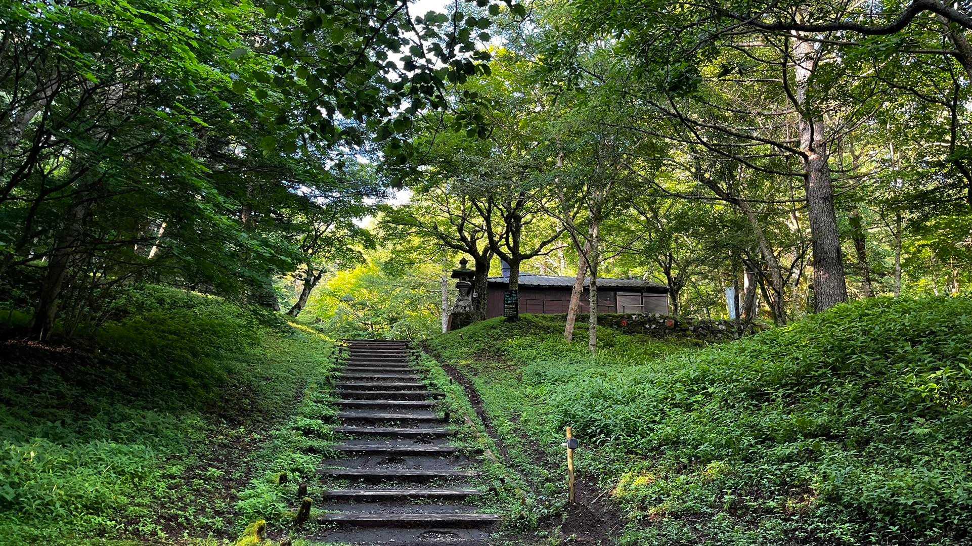 涼しい〜