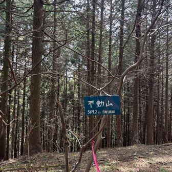 埼玉百名山不動山🦶
木々に囲まれた山頂ですが広くて気持ちが良いのでこちらでお昼を食べました😋
