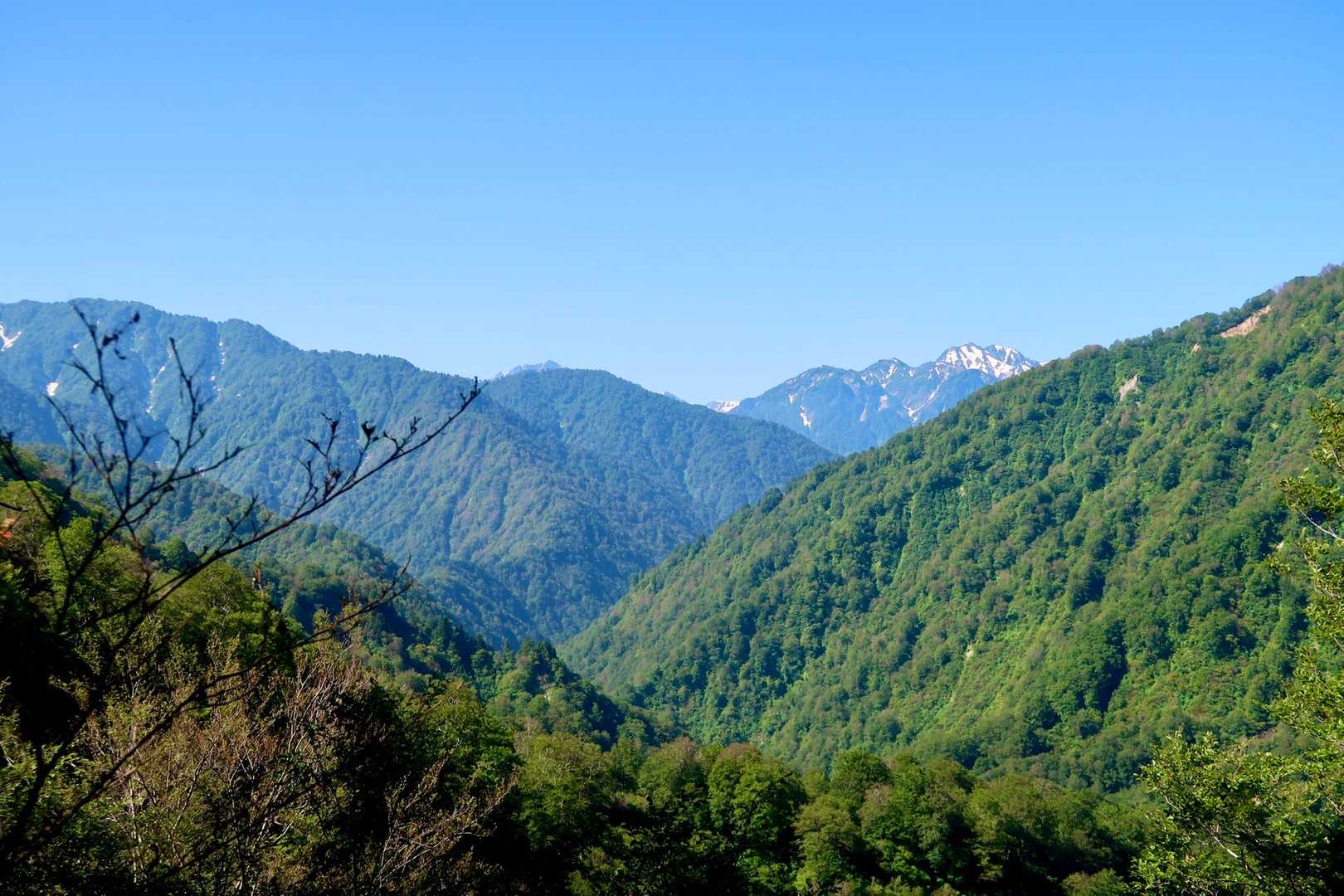 イブリ山 周回コースの写真