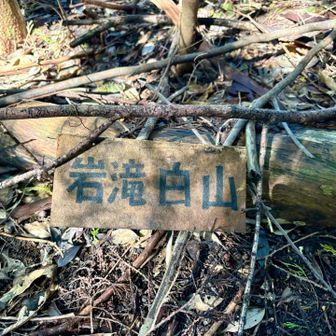 岩滝白山の山頂標識。