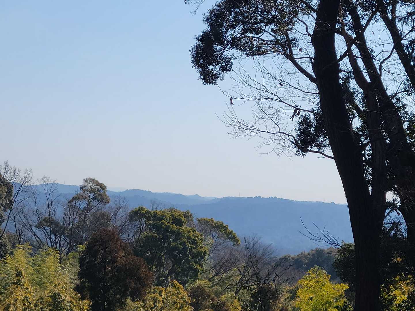 確かにズームすると
見えました。👀