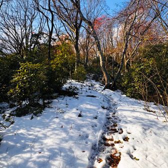 
これが今シーズン一番目の雪山🏔️とは、言いたく無い雪量やわ❗️と思いながら歩いた
けど、やっぱ プチでも雪積もってると楽しすぎ❣️😁
