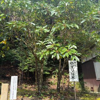 ここで早めのお昼休憩
あとで食べに行くので軽く行動食で済ませました
