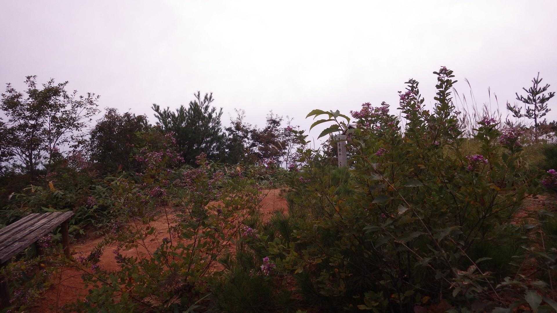山頂到着
何故か赤土