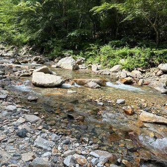 やっと川が見えて