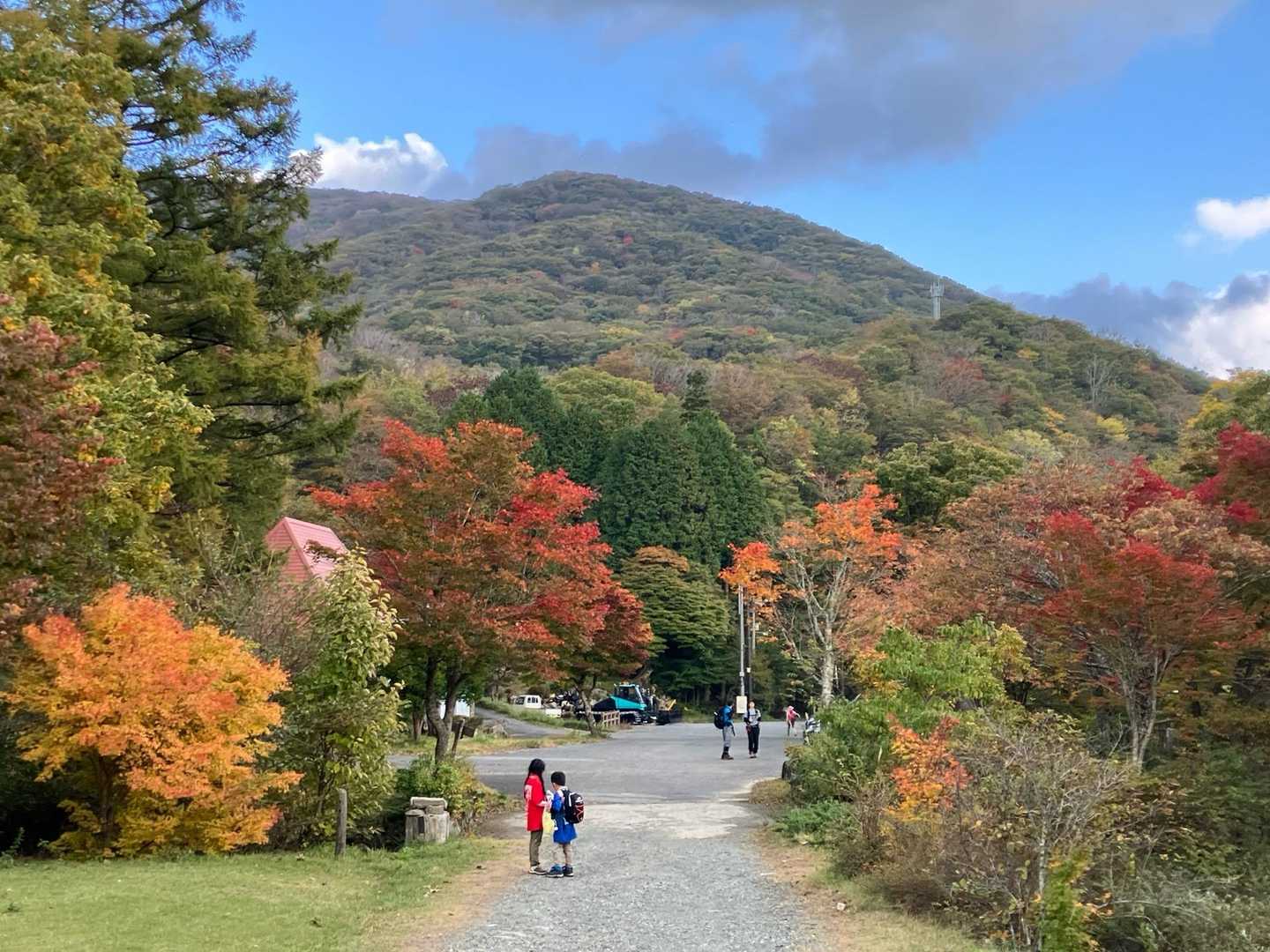 降りてきました