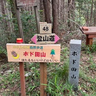 ホド田山に到着💨