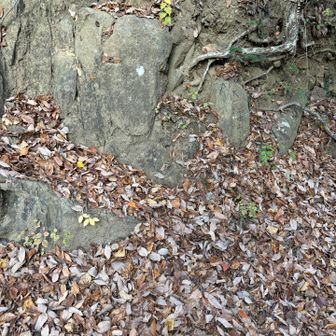 石老山の取り付き。先人がマジックで書いてくれています🙏