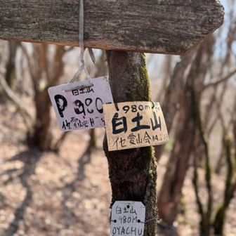 白土山ピーク！
しろつちやま？って読むのかな？
誰か看板にふりがなふってくれないかなぁ🥺