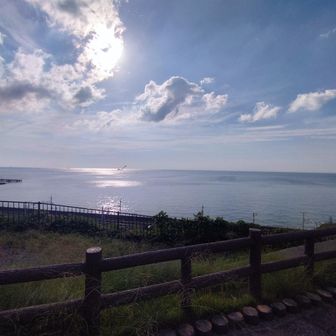 須磨浦公園駅
天気は最高！
