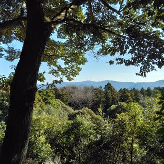 伊勢の朝熊山方面の展望が開ける。
