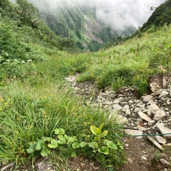 谷へ降る道があります　使いませんけど