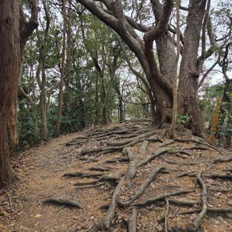 矢落山（乳頭山）山頂（202m）
