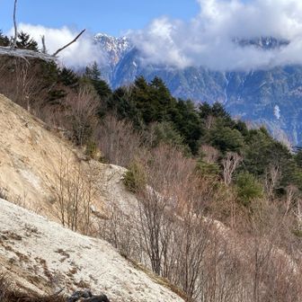 青ナギ

日向山みたいな白ザレの斜面
